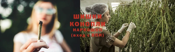 бошки Алзамай