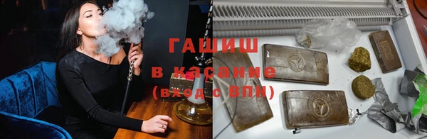 гидра Алексин