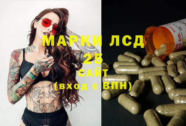 гидра Алексин