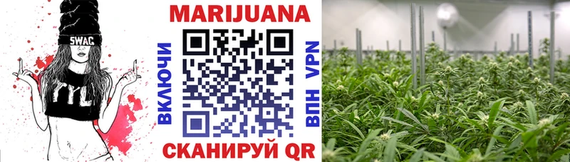 маркетплейс наркотические препараты Бологое Каннабис индика продажа наркотиков